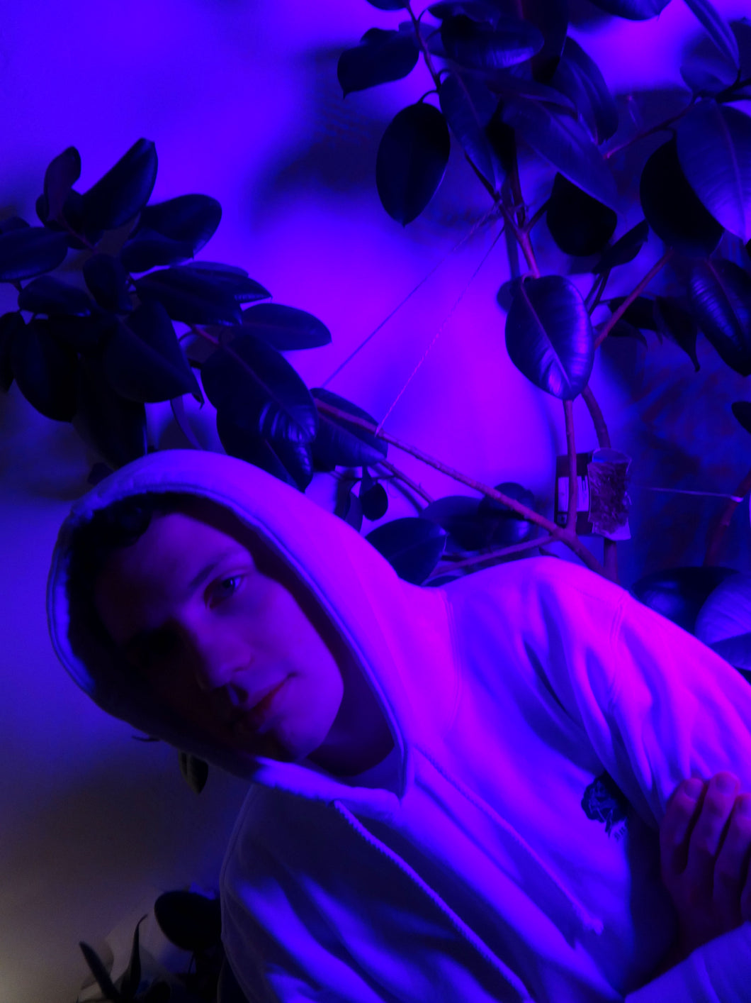 White Zoomancy Hoodie